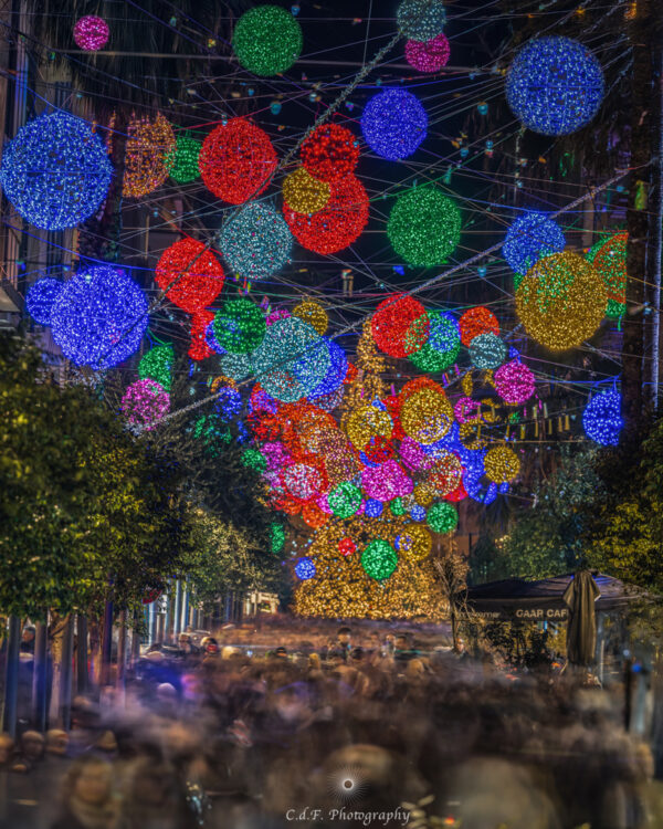 Salerno sogno e bellezza  Natale 2024:  6 gennaio luminarie