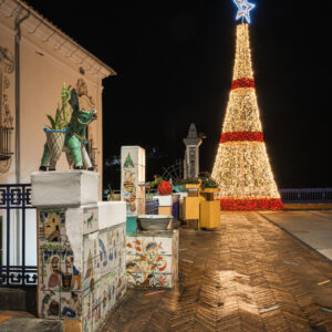 Vietri sogno e bellezza  Natale 2024: Albero