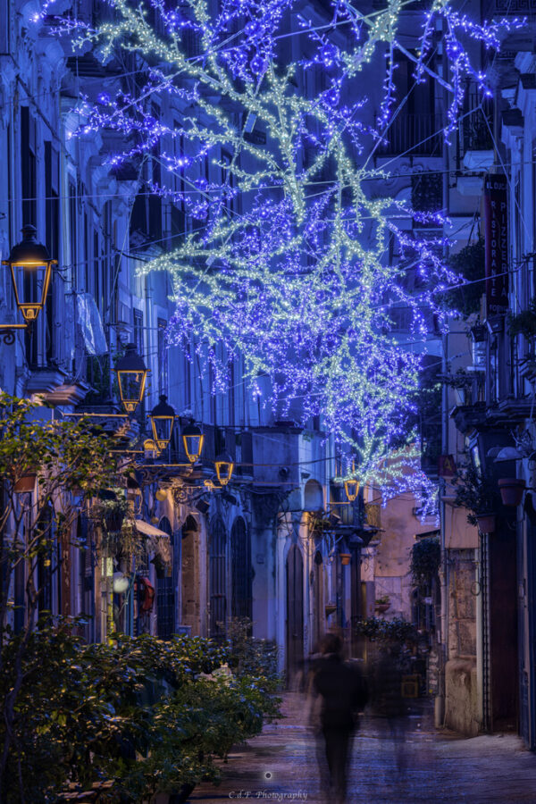 Salerno sogno e bellezza  Natale 2024: da Procida