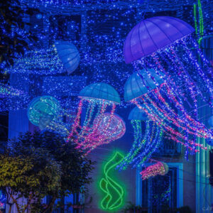 Salerno sogno e bellezza Natale 2024: Danza Meduse foto 1-2