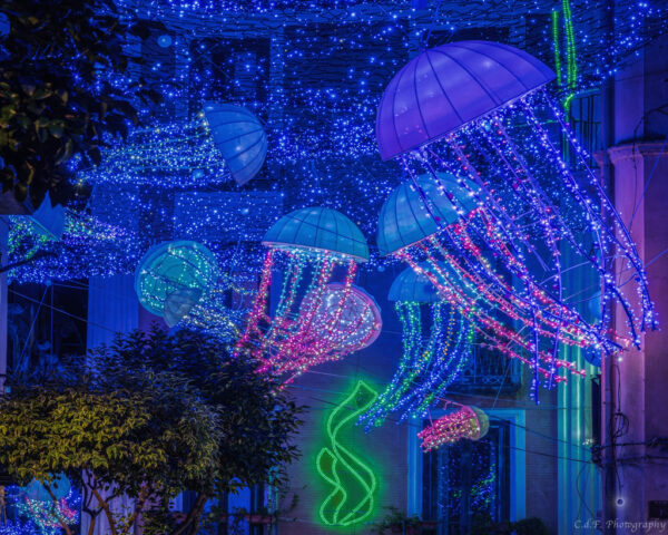 Salerno sogno e bellezza Natale 2024: Danza Meduse foto 1-2