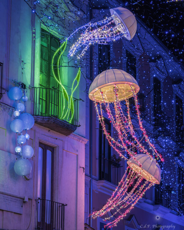 Salerno sogno e bellezza Natale 2024: Danza Meduse foto 1-2 - immagine 2
