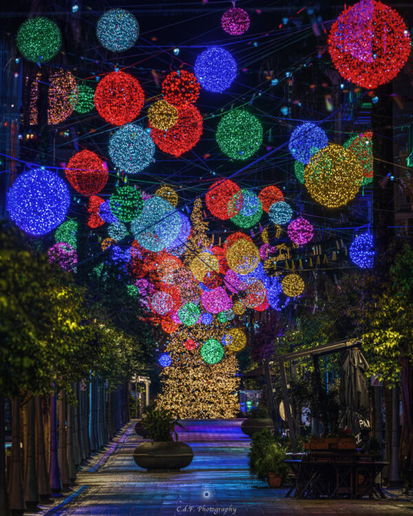 Salerno sogno e bellezza Natale 2024: Corso Garibaldi, Corso verso ferrovia, tutto corso2 - immagine 3